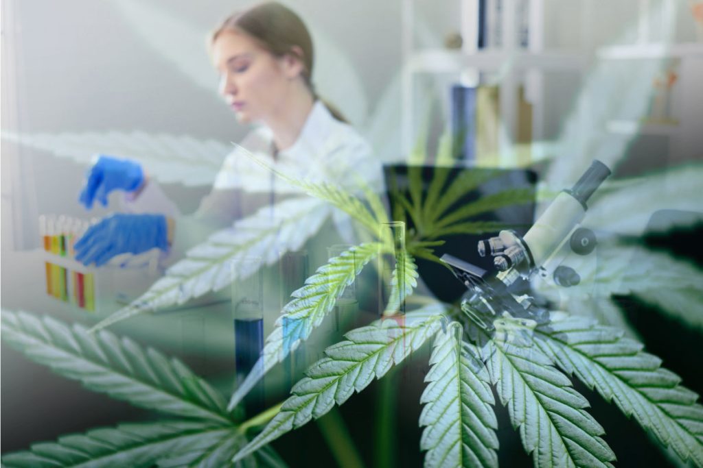 DOT drug testing compliance remains active despite marijuana reclassification discussions