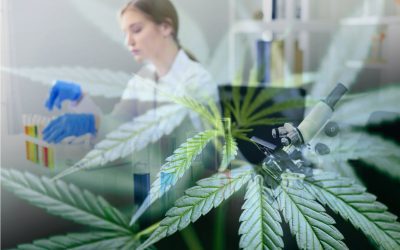 DOT Drug Testing Requirements and Marijuana Reclassification